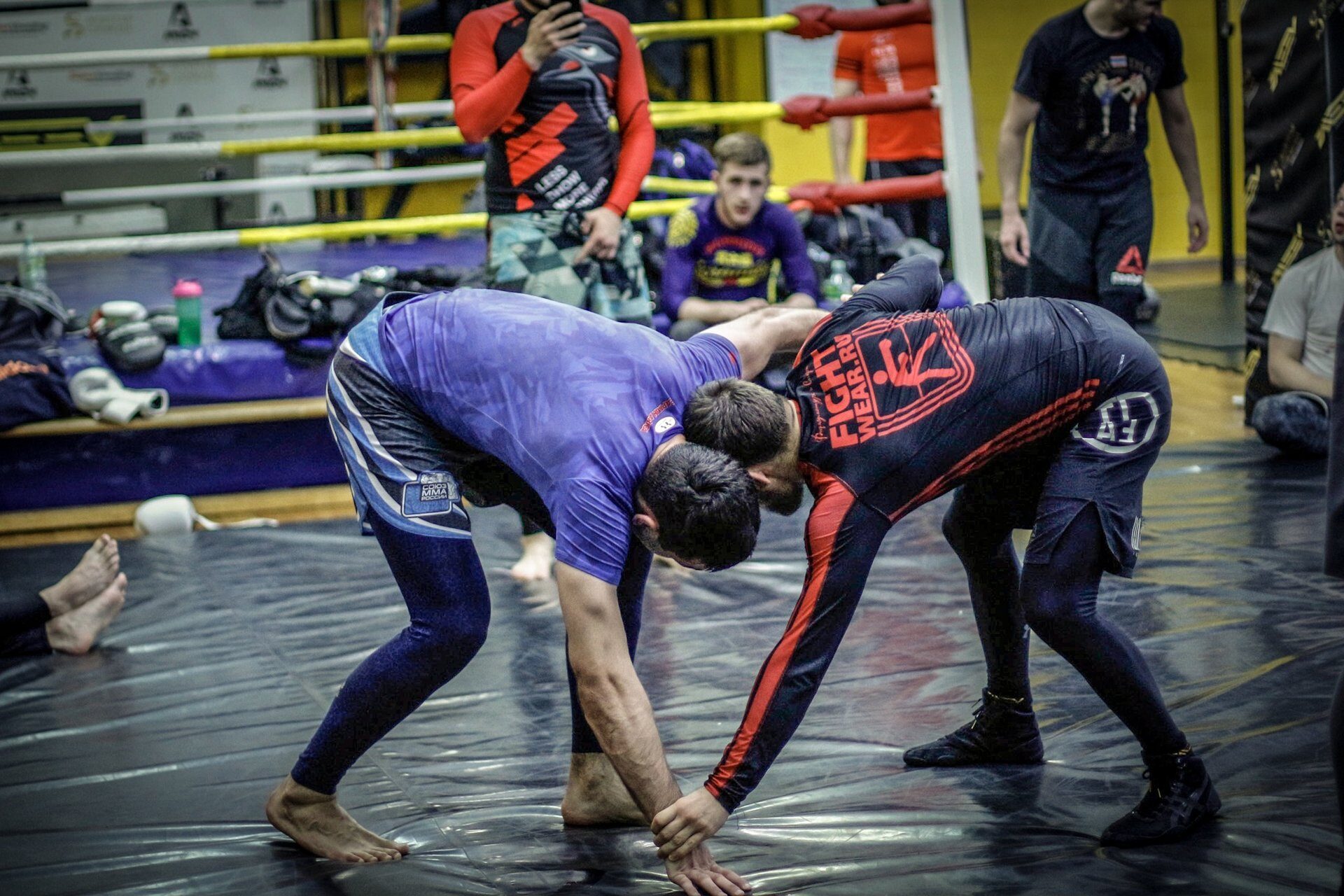 _MG_3070 — копия